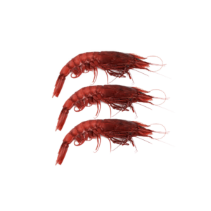 RED PRAWNS MAZARA (SIZE L) 43-50pcs (900g)