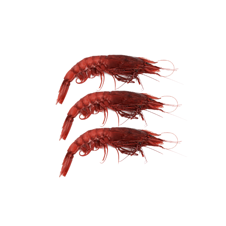 RED PRAWNS MAZARA (SIZE L) 43-50pcs (900g)