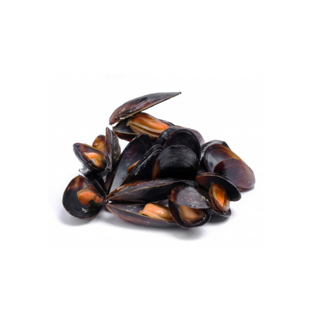 MUSSEL CHILE FROZEN (1kg)