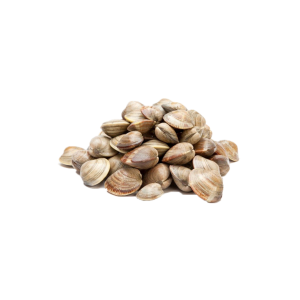 CLAM FROZEN (1kg)